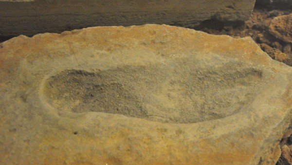 Tesadüfen bulundu: 4 bin 500 yıllık ayak izleri Manisa'da sergileniyor